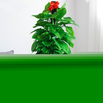����ȩ������{�ԣ��e�����@Щ���οƌW(xu��)����