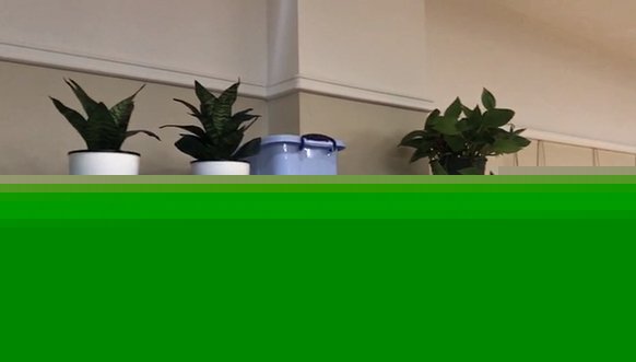 �׃��@�b�޺���L(zh��ng)��(d��n)�ļ�ȩ��Ⱦ 2�Ιz�y(c��)�Y(ji��)���s��ͬ